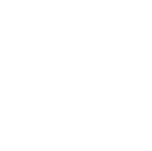 black_logo_transparent_background copy.webp